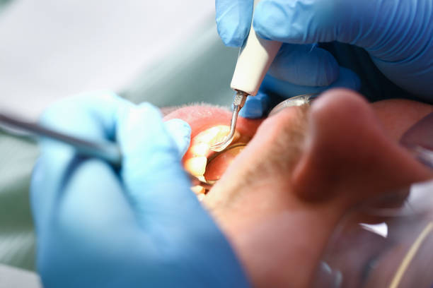 Best Pediatric Emergency Dentist in Mount Oliver, PA